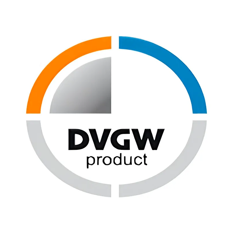 certificado dvgw(2)(ok) resultado